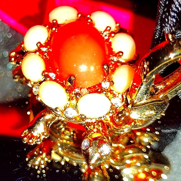 🐢Special of Day Save the 🐢 Diamond Jim NWT - Picture 2 of 5